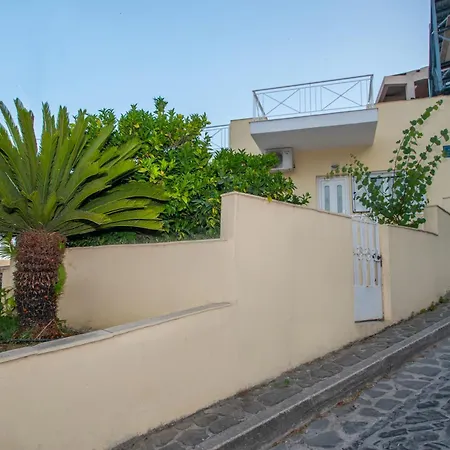 Apartment Coconut Tree House With Port View